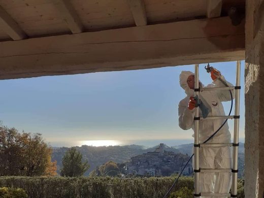 Comment traiter les termites qui envahissent votre maison dans le 06 ?